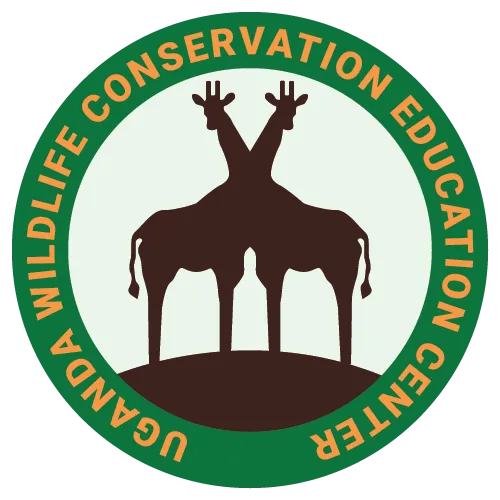 logo 01