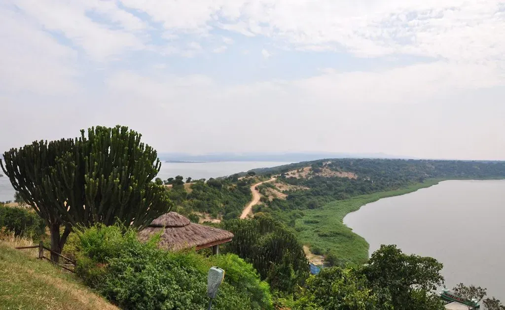 3 Days Queen Elizabeth Wildlife Safari Experience